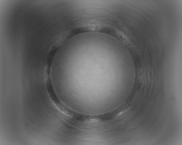 X0000071950594200607141501