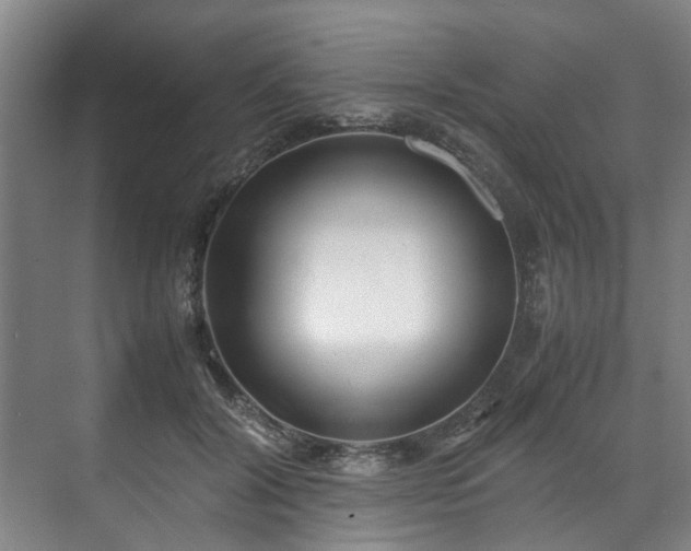 X0000071950604200607141501