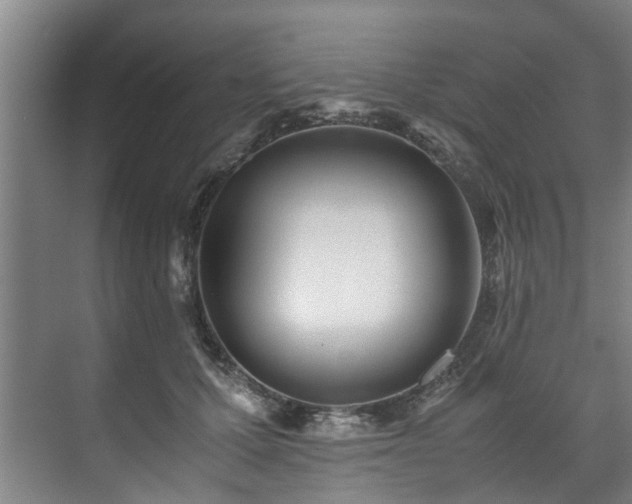 X0000071950607200607141501