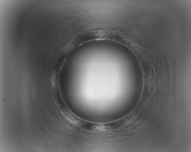 X0000071950611200607141501