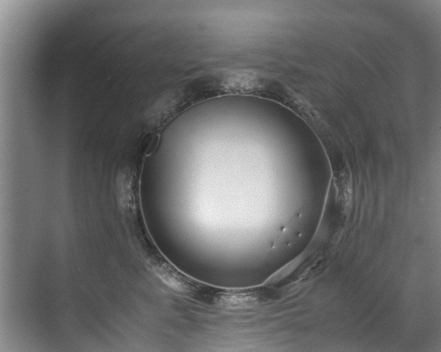 X0000071950619200607141500