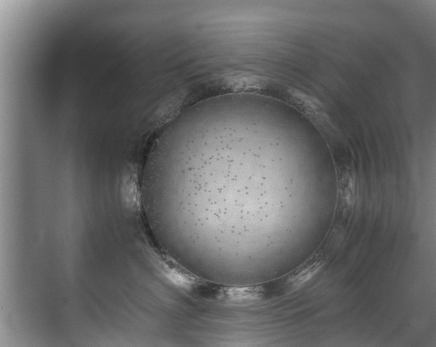 X0000071950622200607141500