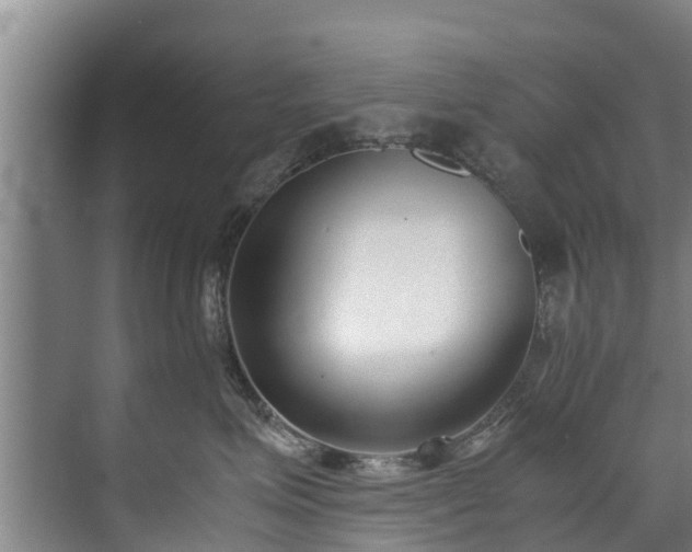 X0000071950623200607141500