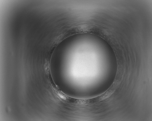 X0000071950624200607141500