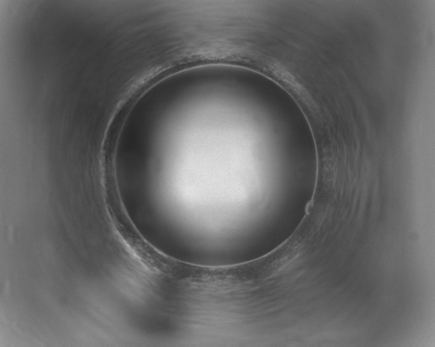 X0000071950626200607141500