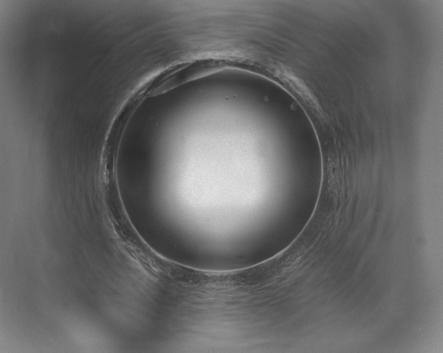 X0000071950628200607141500