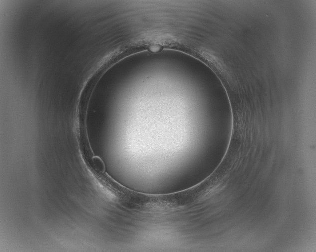 X0000071950630200607141500