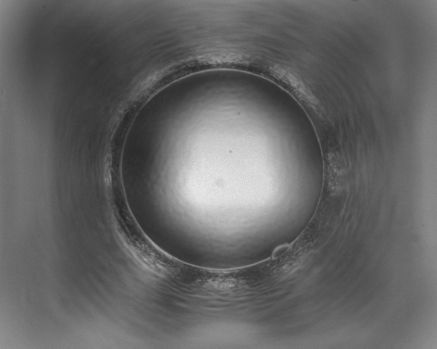 X0000071950631200607141500