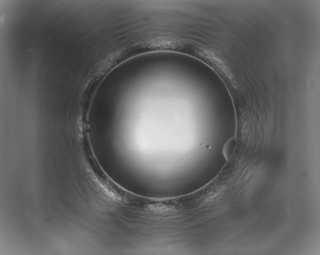 X0000071950633200607141500