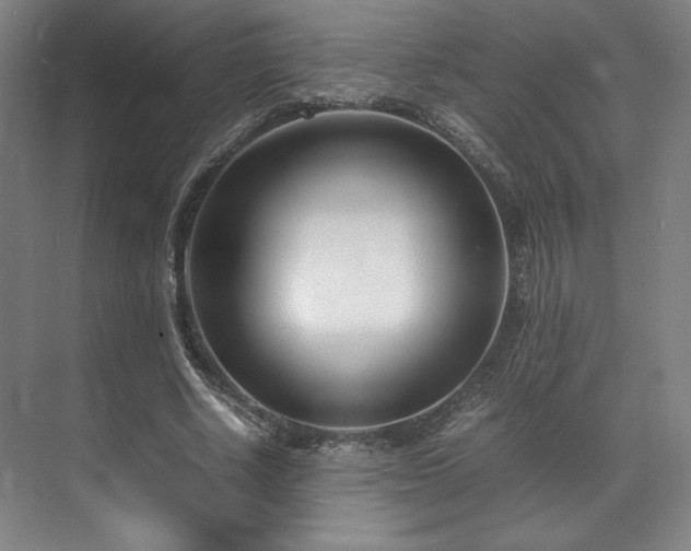 X0000071950634200607141500