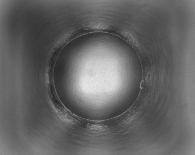 X0000071950635200607141500