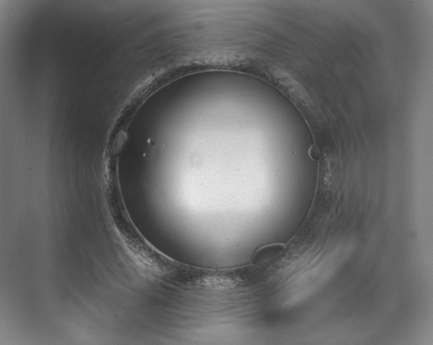 X0000071950636200607141500