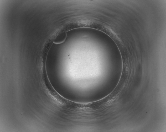 X0000071950637200607141500