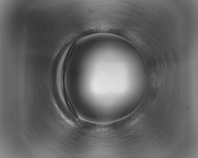 X0000071950638200607141500