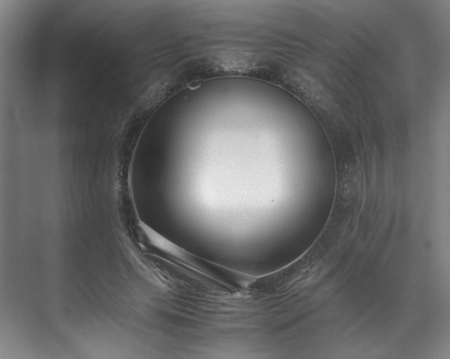 X0000071950639200607141500