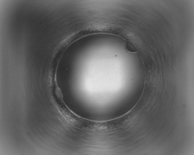 X0000071950640200607141500