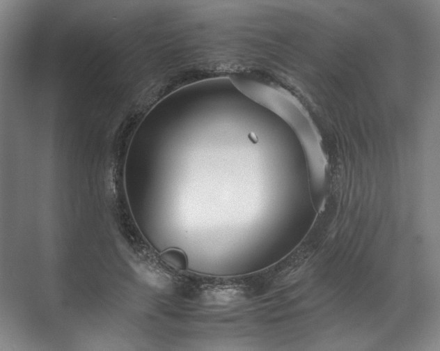 X0000071950643200607141500