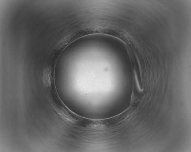 X0000071950644200607141500