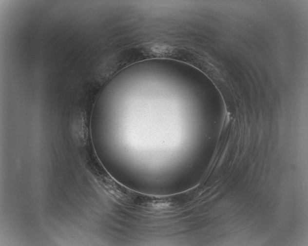 X0000071950651200607141500