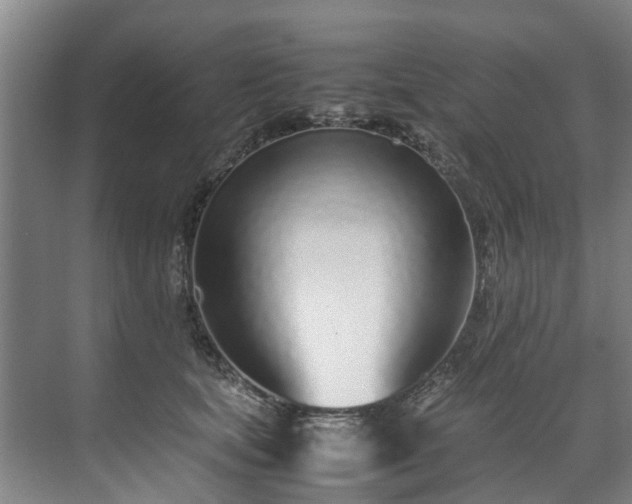 X0000071950659200607141500