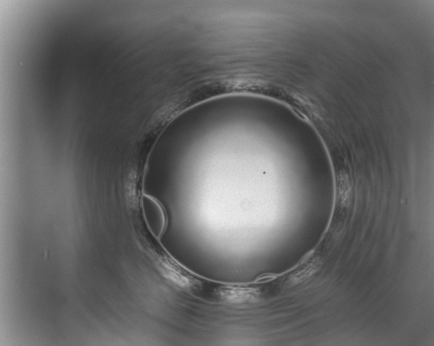 X0000071950670200607141500