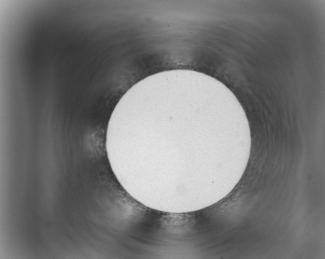 X0000071950672200607141500