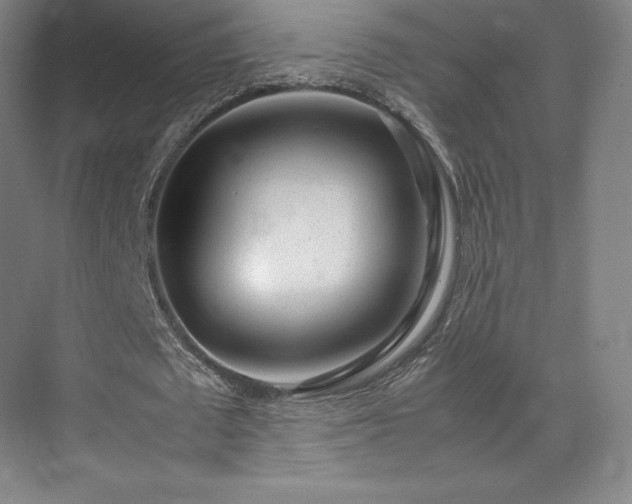 X0000071950673200607141500