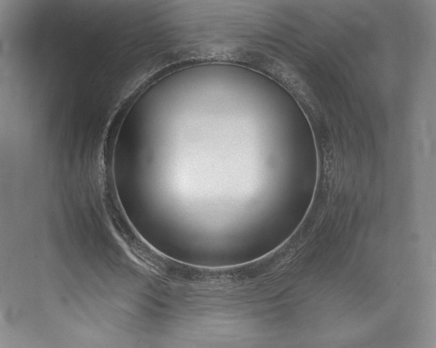 X0000071950674200607141459