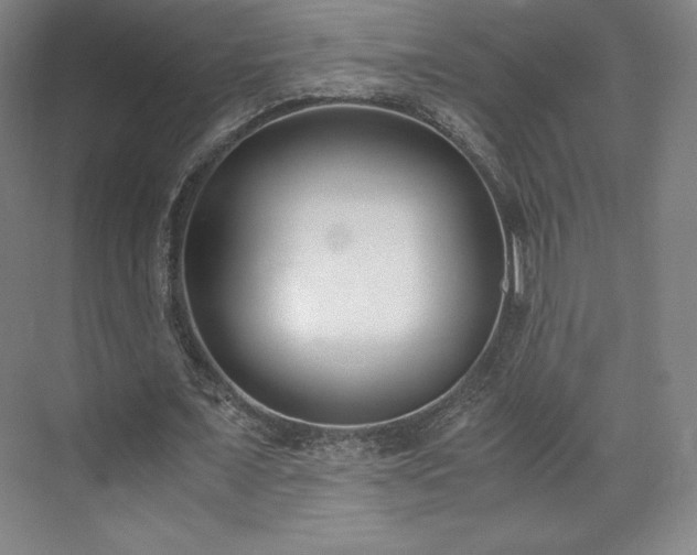 X0000071950675200607141459