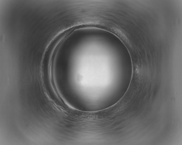 X0000071950676200607141459