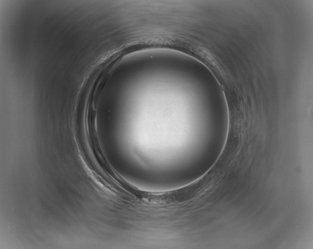 X0000071950677200607141459