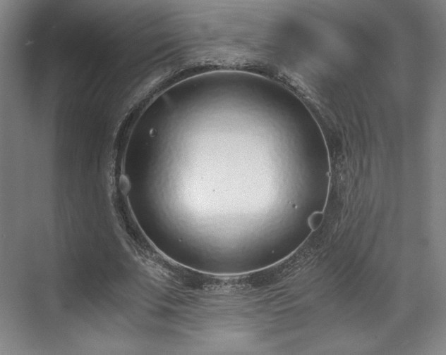 X0000071950679200607141459