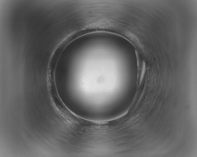 X0000071950680200607141459