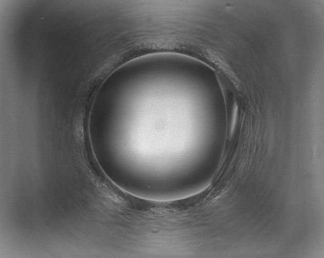 X0000071950681200607141459