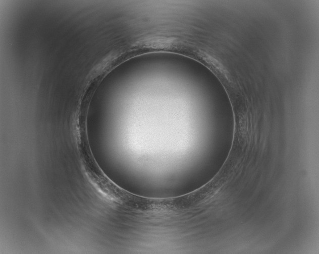 X0000071950682200607141459