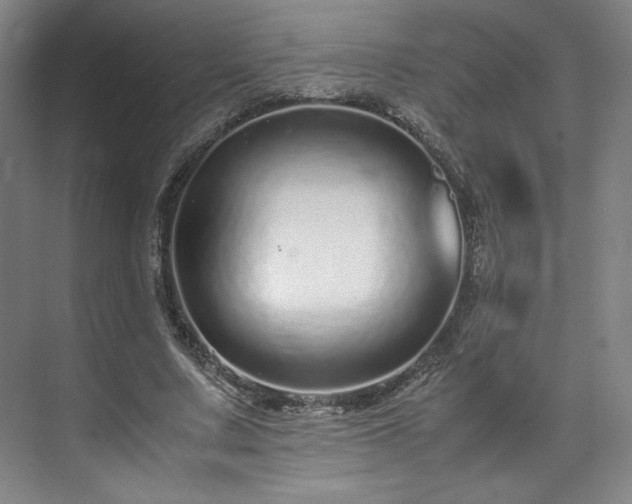 X0000071950683200607141459