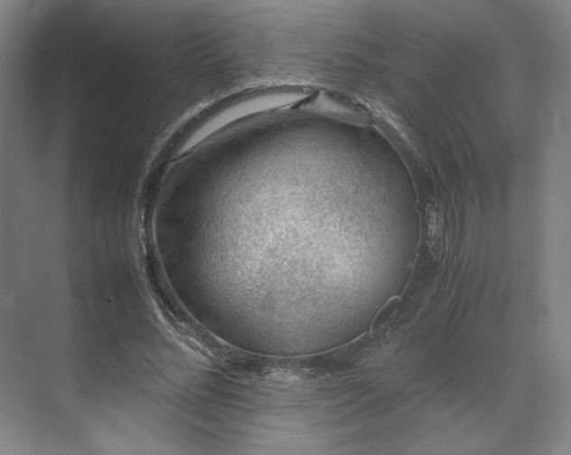 X0000071950684200607141459