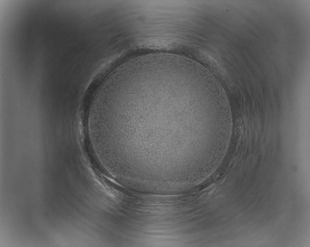 X0000071950688200607141459