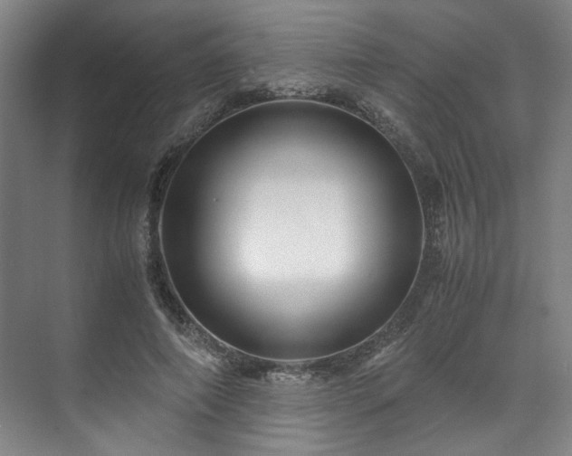 X0000071950690200607141459