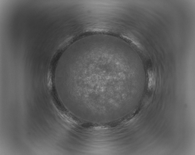 X0000071950692200607141459