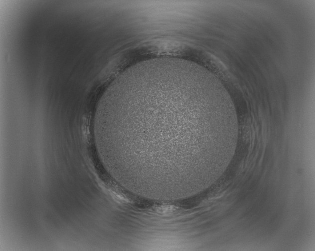 X0000071950695200607141459