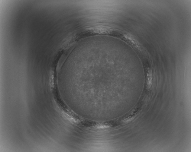 X0000071950696200607141459