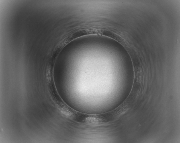 X0000071950699200607141459