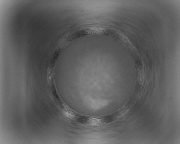 X0000071950701200607141459