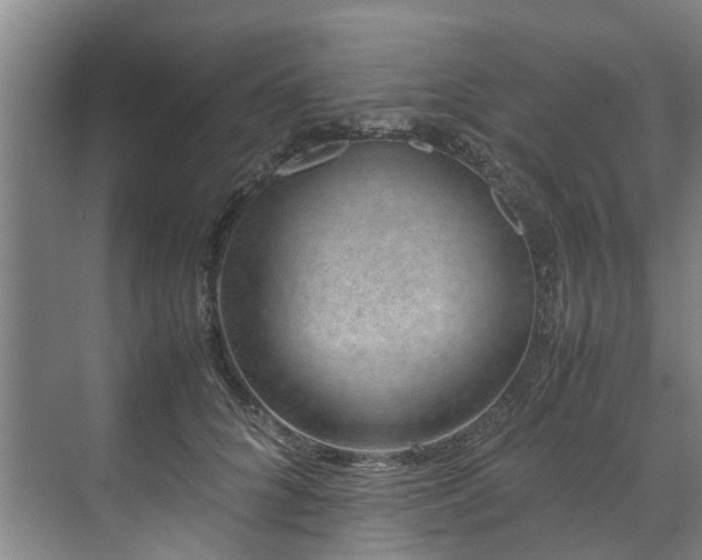 X0000071950704200607141459