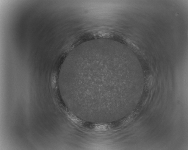 X0000071950709200607141459