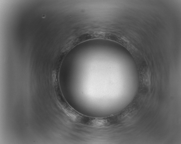 X0000071950711200607141459