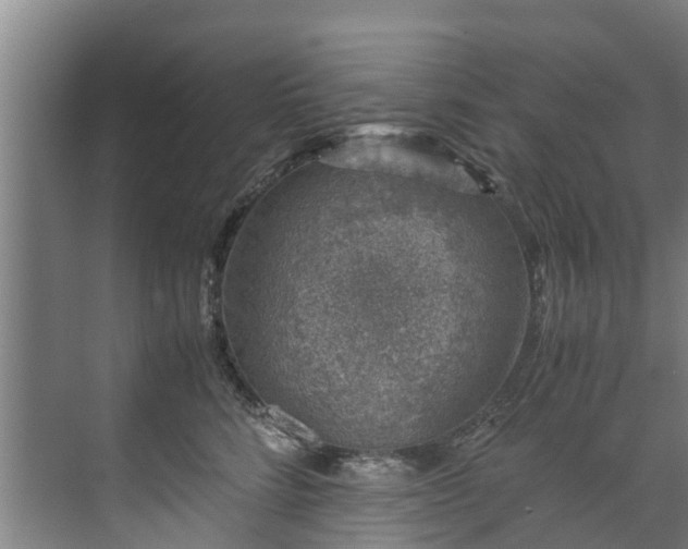 X0000071950712200607141459