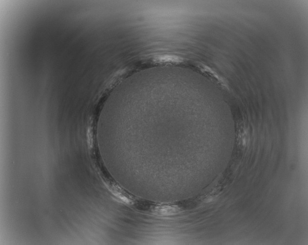 X0000071950716200607141459