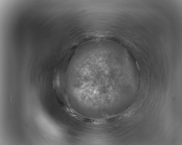 X0000071950720200607141459